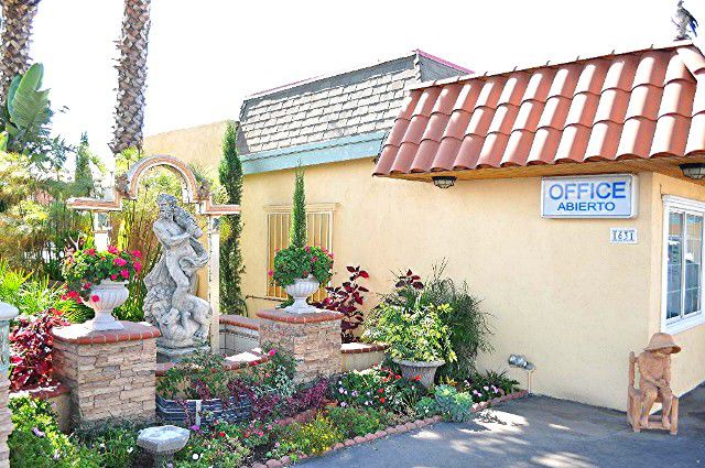 The Palace Motel